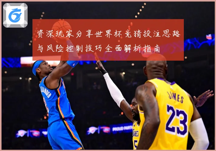 资深玩家分享世界杯竞猜投注思路与风险控制技巧全面解析指南