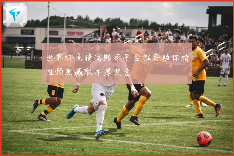 世界杯竞猜高赔率平台推荐助你精准预测赢取丰厚奖金