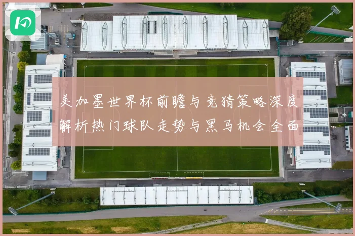 美加墨世界杯前瞻与竞猜策略深度解析热门球队走势与黑马机会全面分析 ⚽