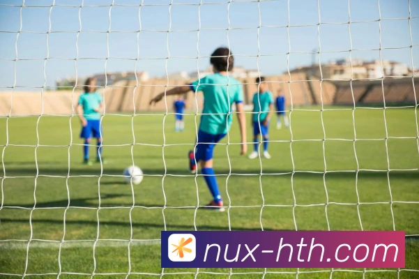 华体会官网全站App